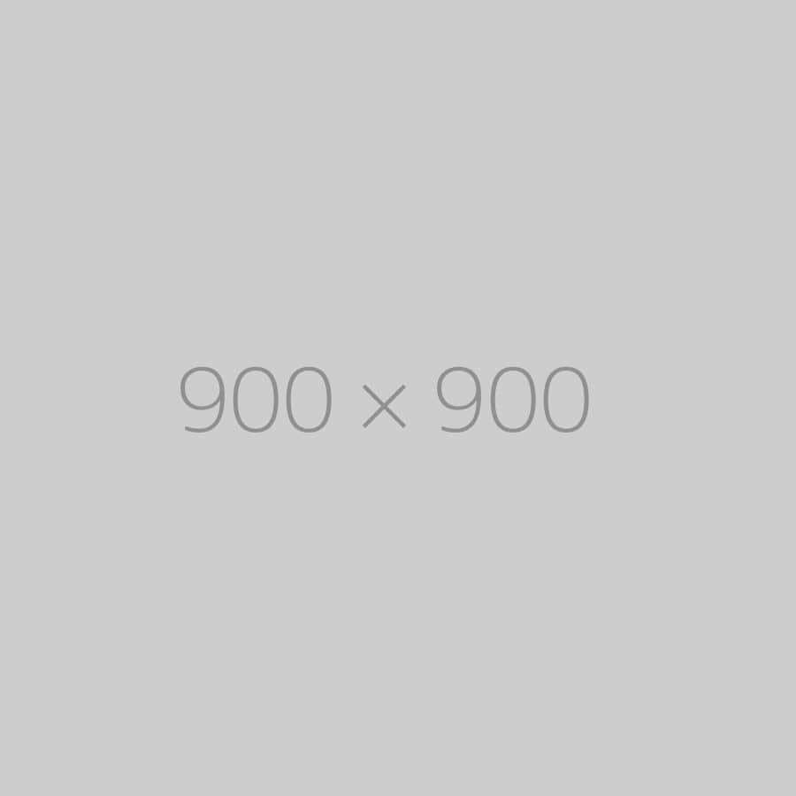 hongo 900x900-ph